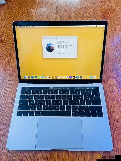 18-19 MacBook Pro 据说即将下架引发关注热潮